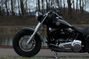 IMG_2555_ergebnis
