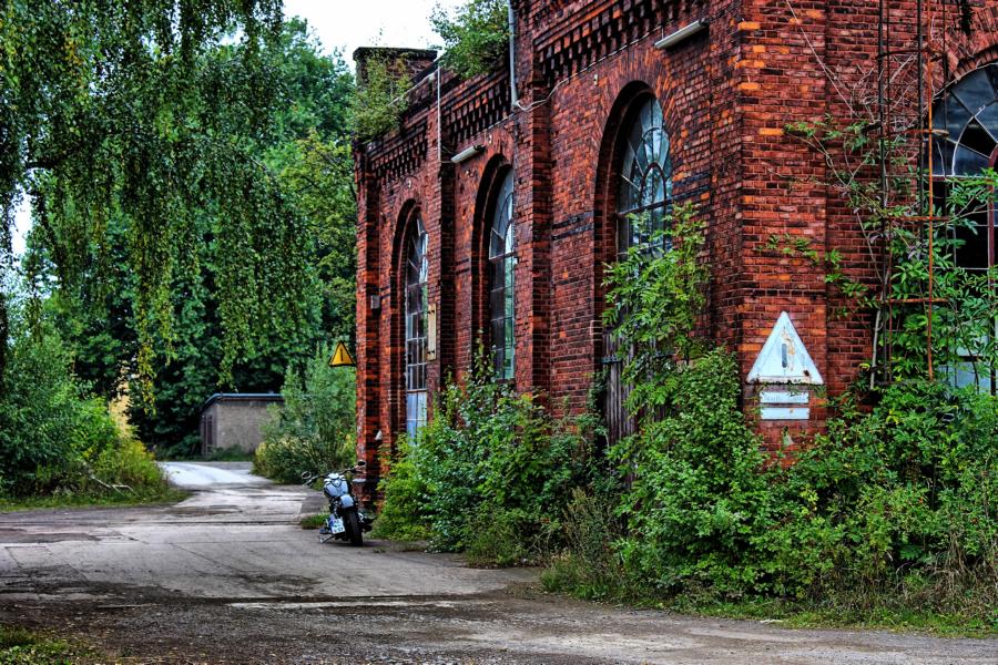 Gebäude verwachsen