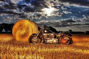 Harley Feld HDR