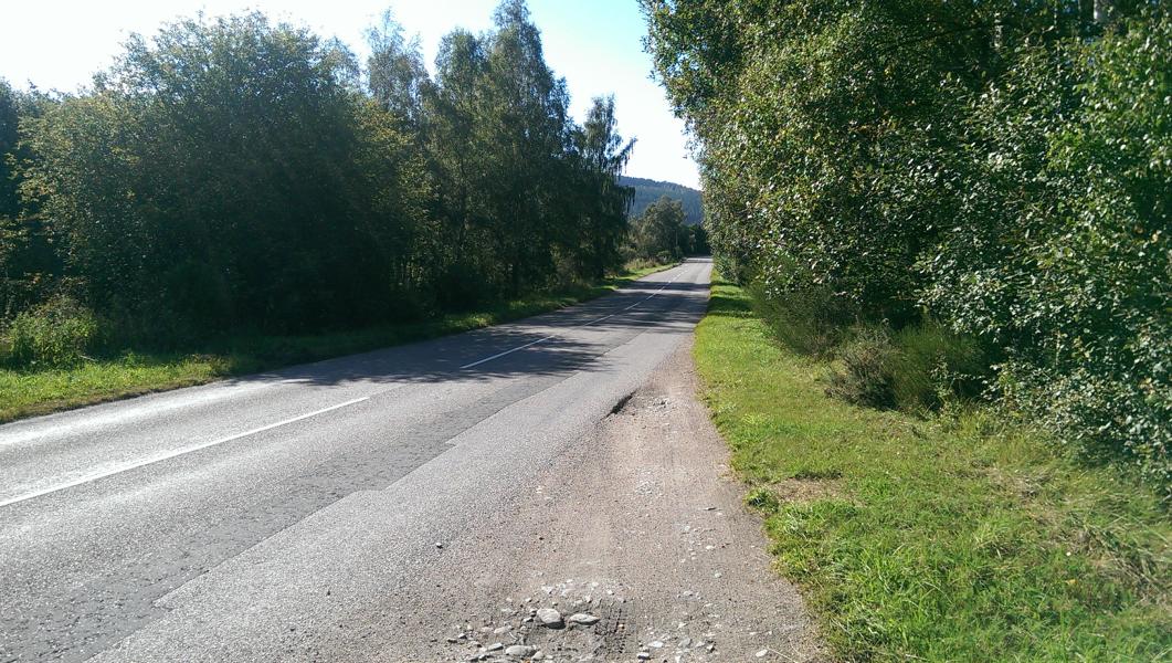 IMAG0165