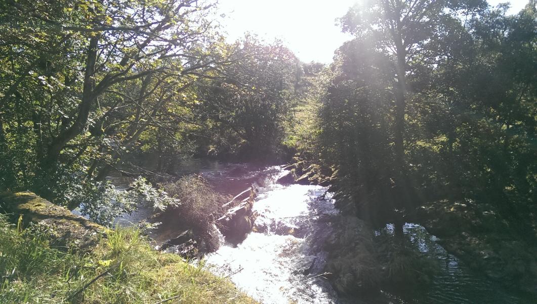 IMAG0166