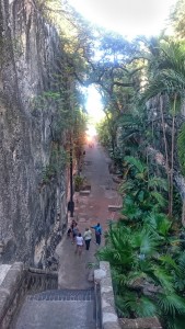 Bahamas Treppe-s